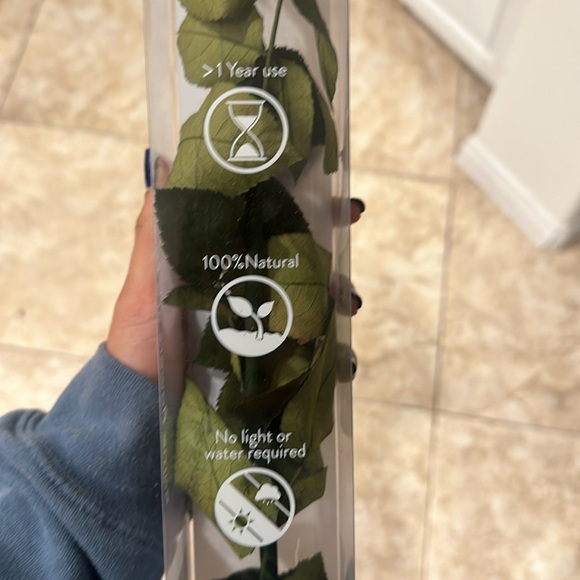 Verdissimo Preserved Rose - Picture 5 of 5